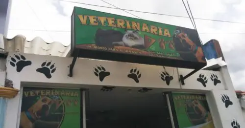 CLINICA VETERINARIA DOO BOGOTÁ CLINICA VETERINARIA DOO BOGOTÁ